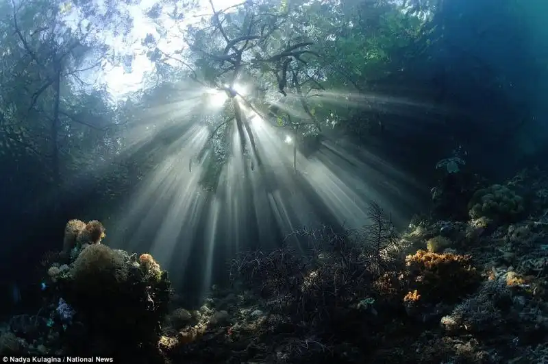 Vincitore categoria Luce Naturale 