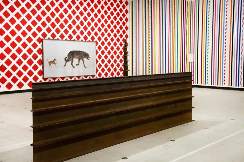 Work No Martin Creed Whats the point of it Hayward Gallery Installation view photo Linda Nylind 