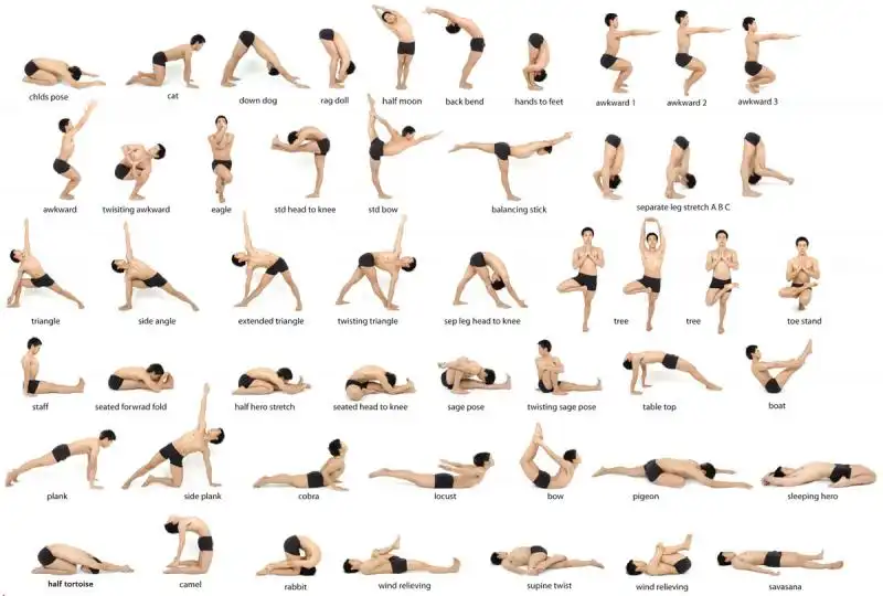 hot yoga posechart 