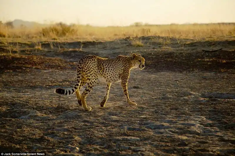 due cacciatori di un'antica tribu?? in namibia 3