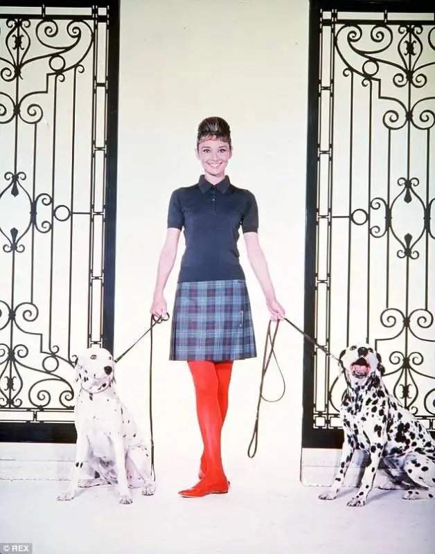 audrey hepburn