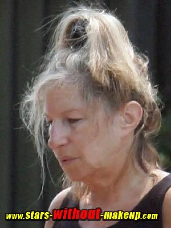 barbra streisand