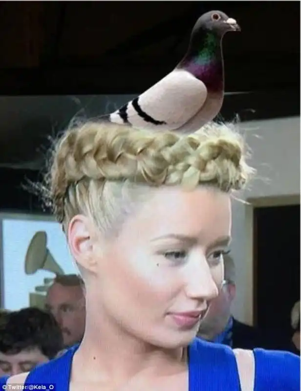 iggy azalea con piccione