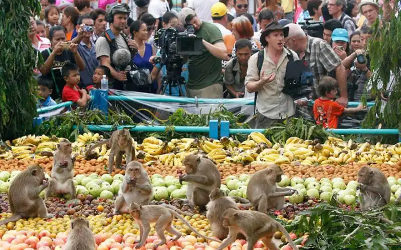 monkey buffet festival (thailand)2