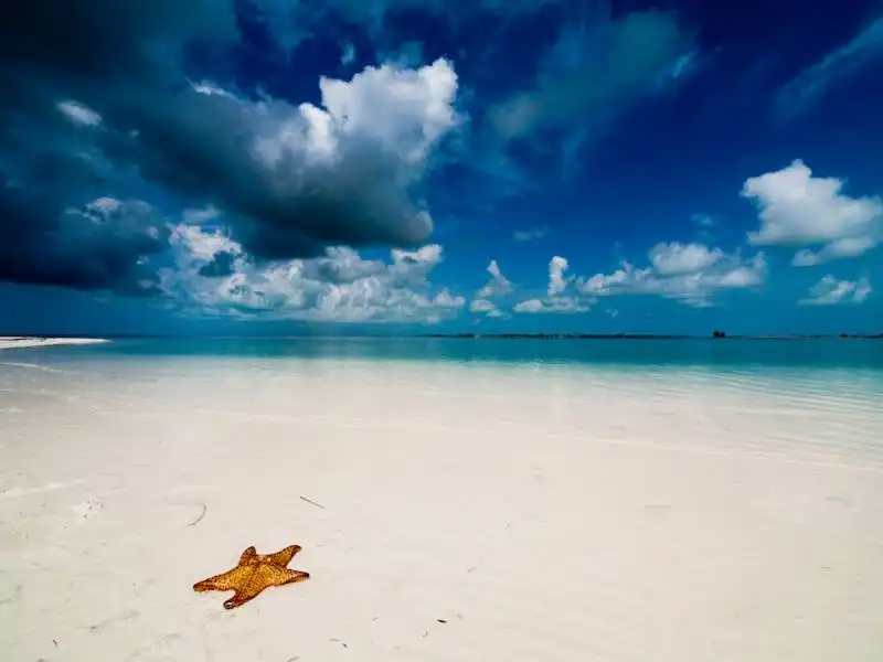 playa paraiso beach, cayo largo, cuba