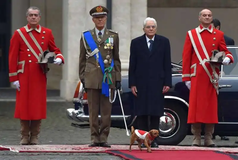 QUIRINALE - IL CANE BRICIOLA E MATTARELLA