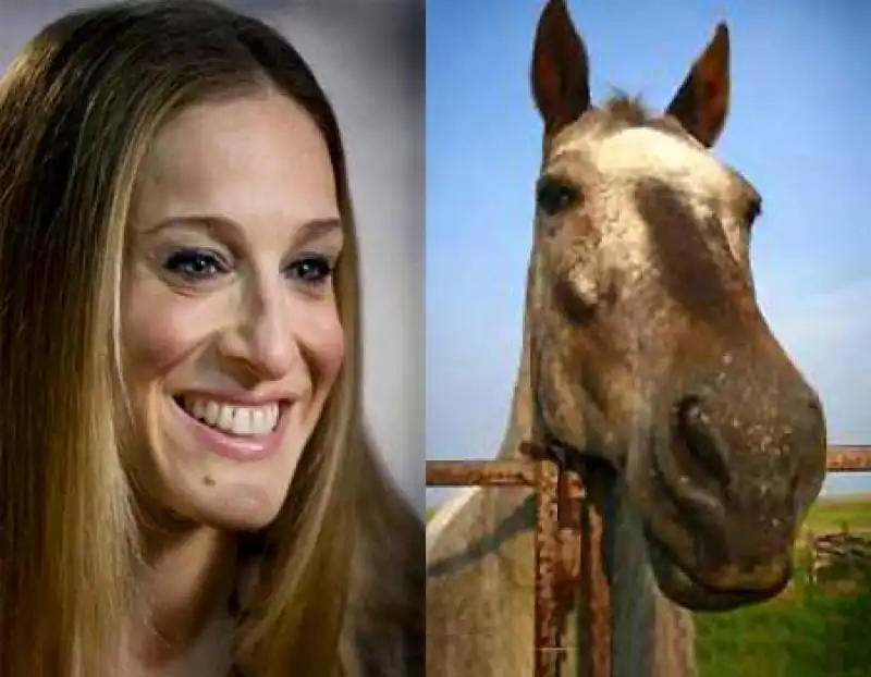 sarah jessica parker