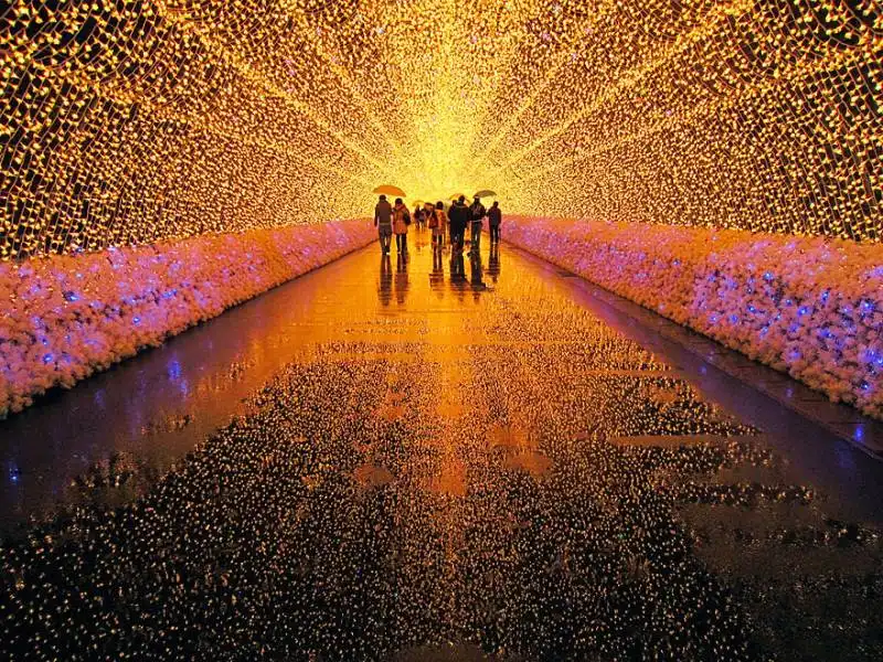 winter light festival (japan)