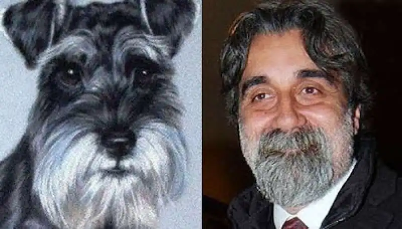 beppe vessicchio