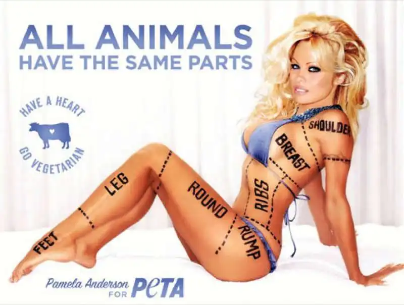 pamela anderson per peta