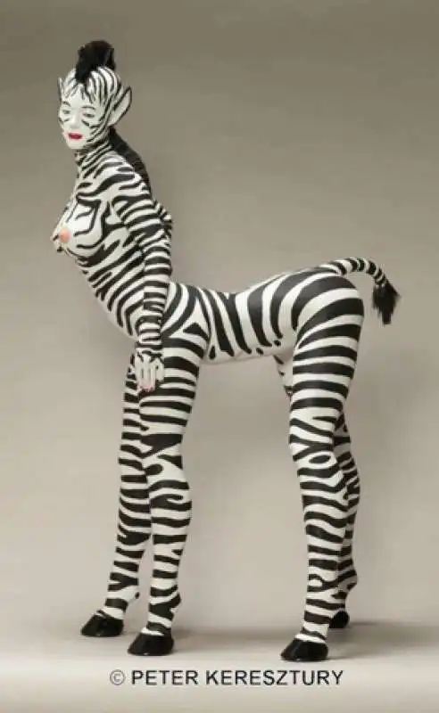 zebra girl by peter keresztury