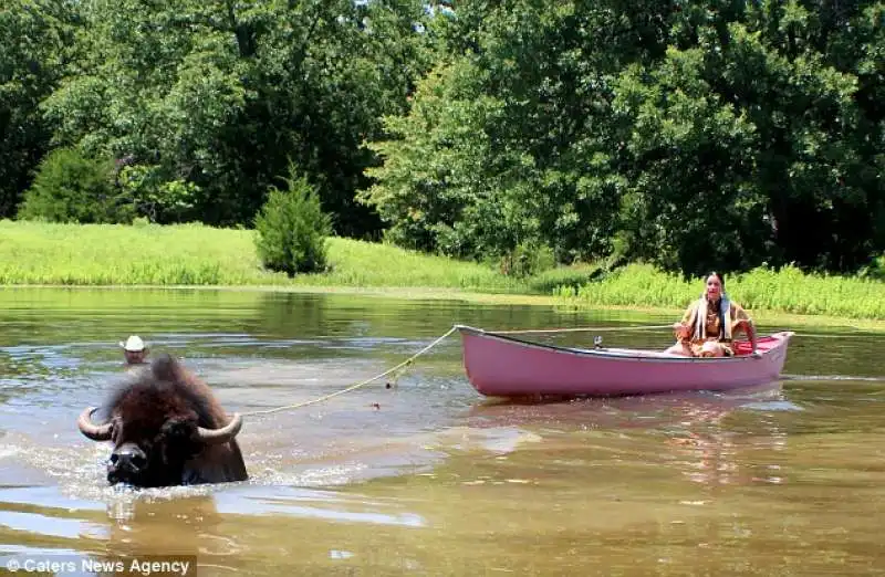 al fiume con il bufalo