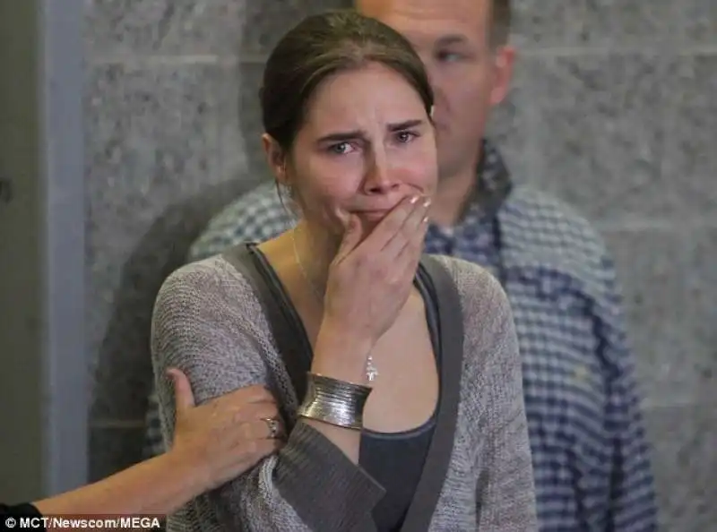 amanda knox