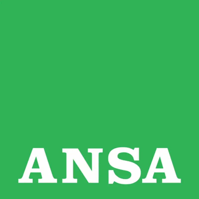 ansa logo