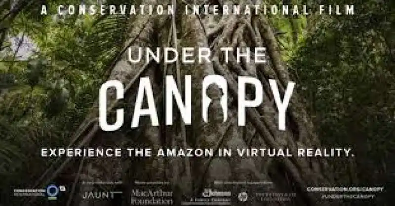 CANOPY ad (1)