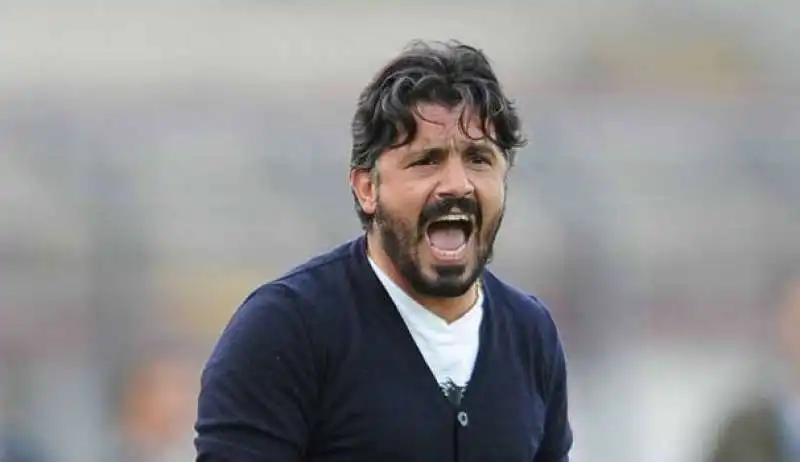 GATTUSO 1