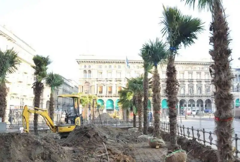 milano palme in piazza duomo  3