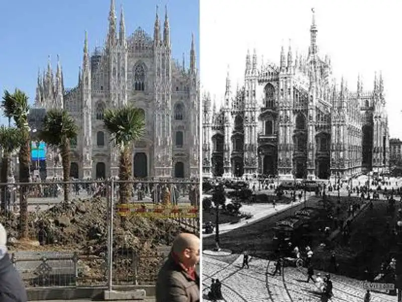 milano palme in piazza duomo  5