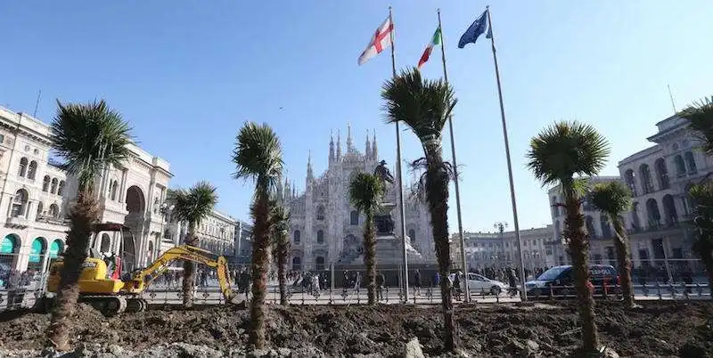 milano palme in piazza duomo  6