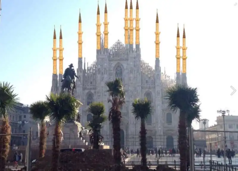 palme in piazza duomo a milano  4