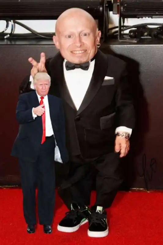 trump e mini me