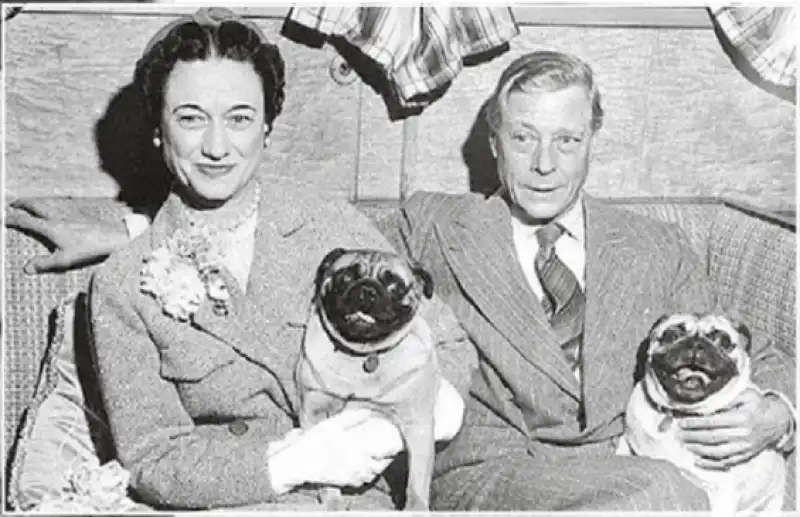 cosi muore una duchessa   wallis simpson con i suoi carlini e il duca di windsor