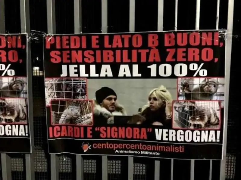 icardi wanda nara blitz animalisti