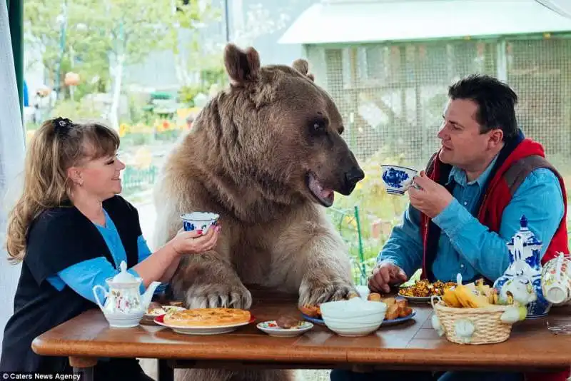 l orso stepan e la sua famiglia