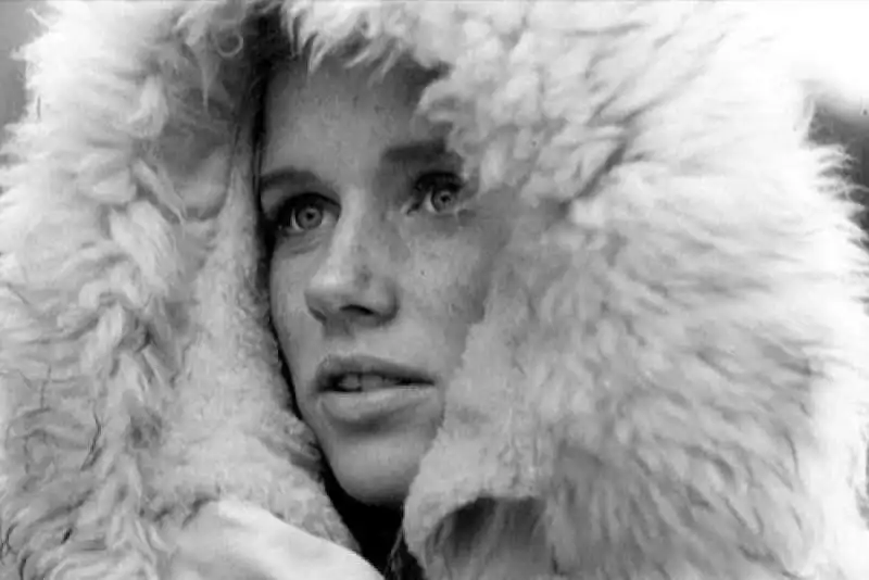 liv ullmann 3