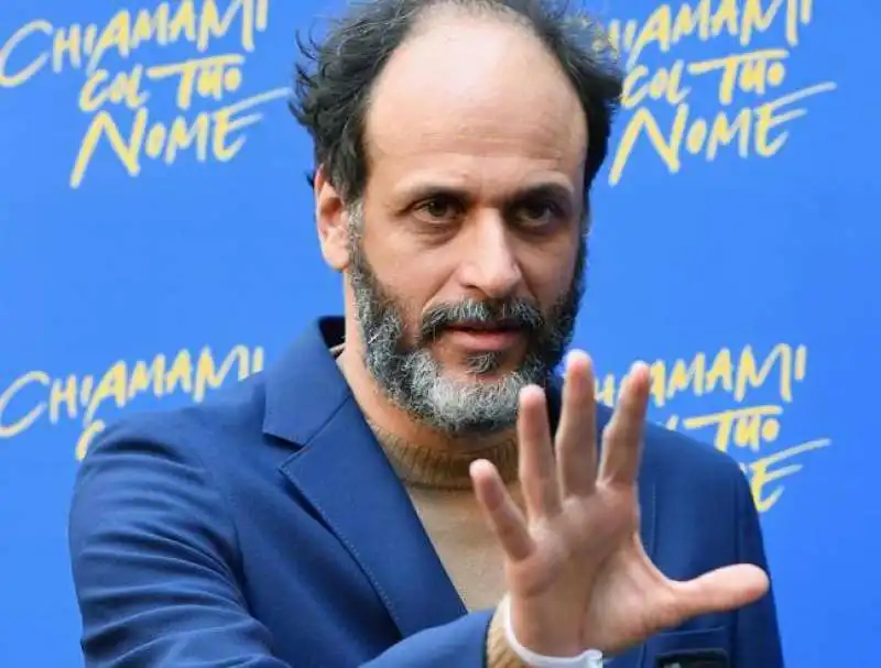 luca guadagnino