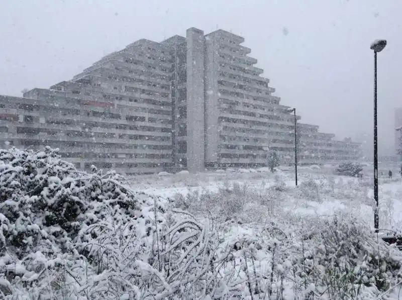 neve a scampia