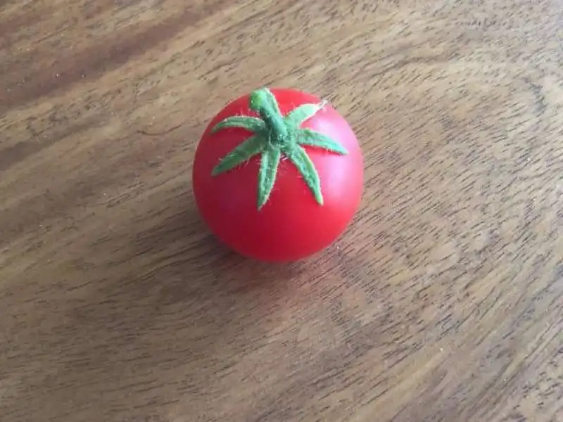 un solo pomodoro ma perfetto