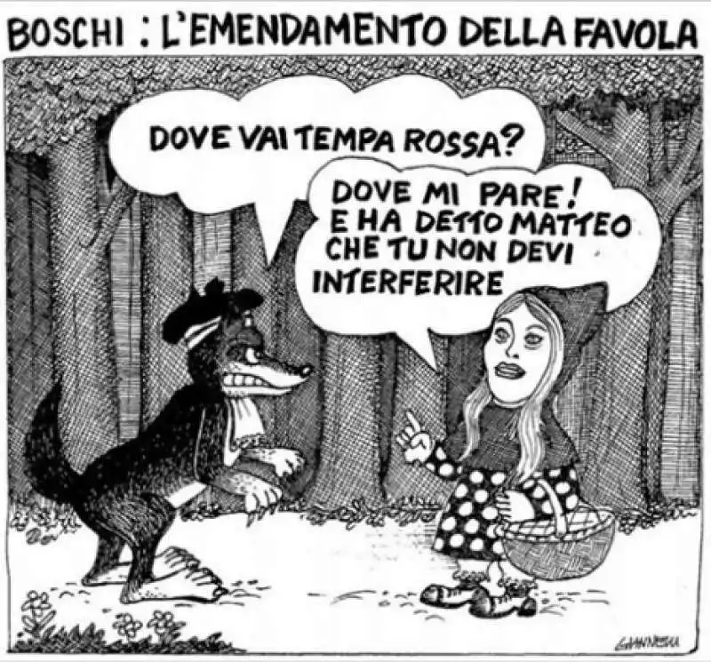 vignette di giannelli su maria elena boschi 7