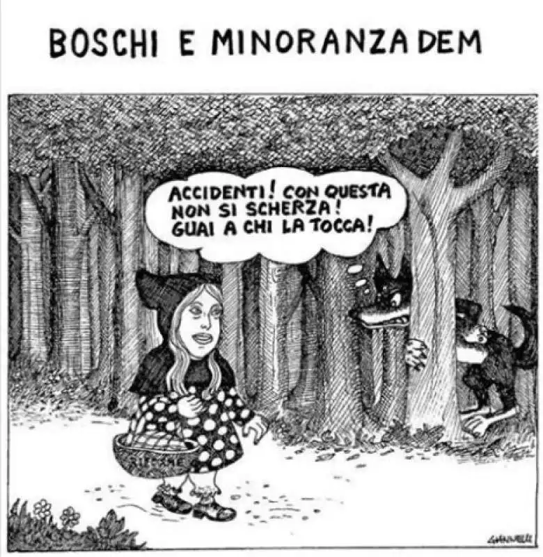 vignette di giannelli su maria elena boschi 9