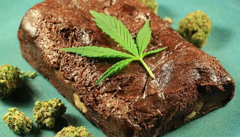 brownie alla marijuana