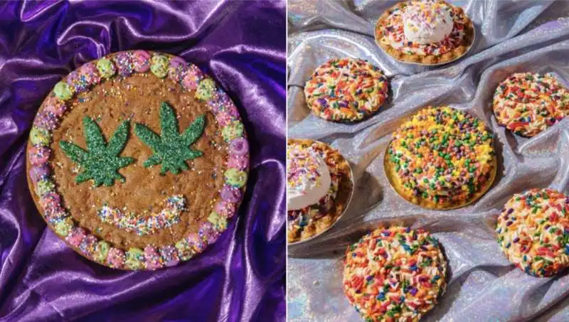 feelz by chloe   biscotti per cani alla cannabis