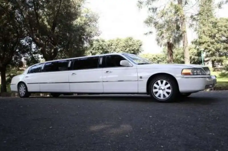 limousine 7