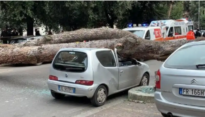 pino roma viale mazzini