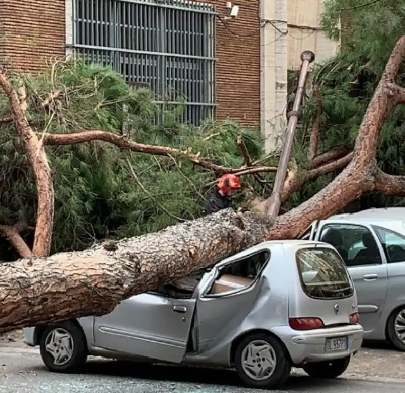 pino roma viale mazzini