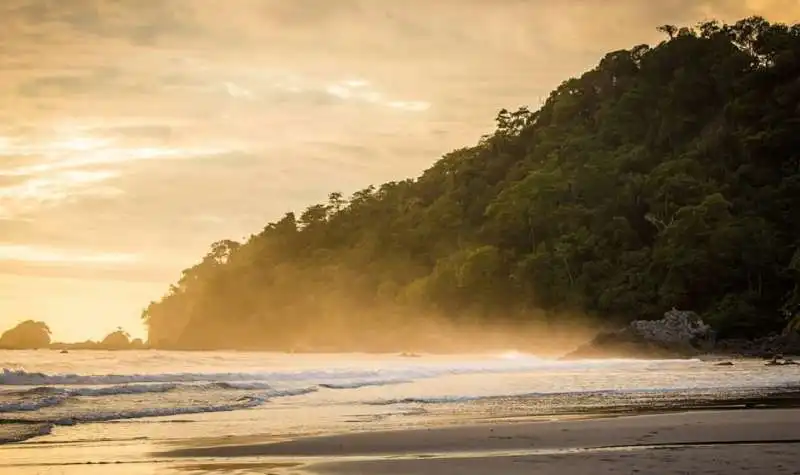 playa manuel antonio 