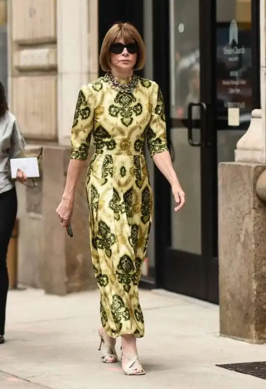 anna wintour  29