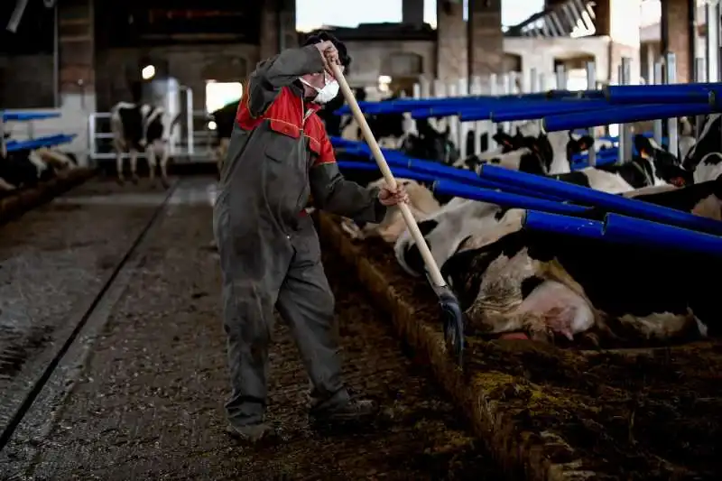 azienda agricola nel lodigiano