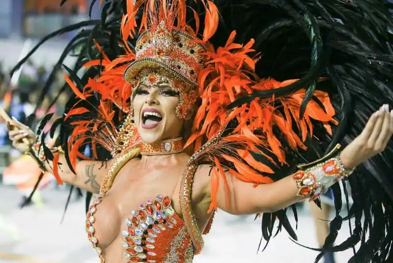 carnevale di rio de janeiro 22