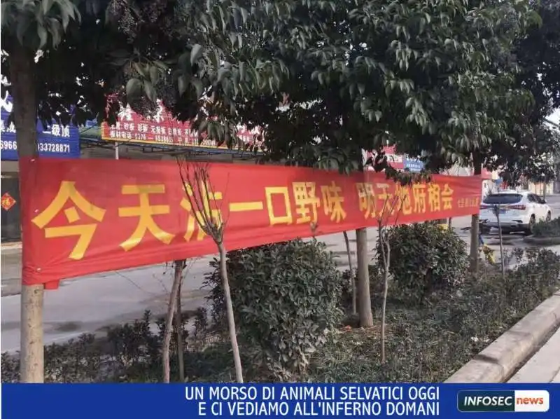 coronavirus   striscioni per strada in cina 4