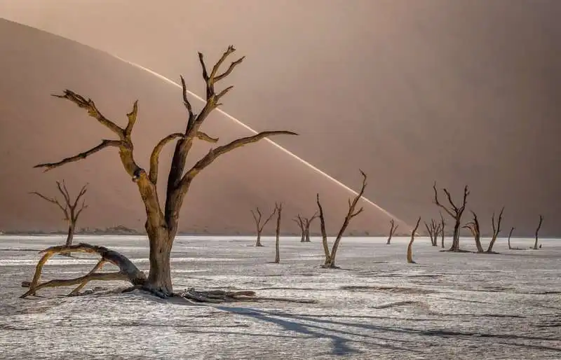  international landscape photographer of the year 11