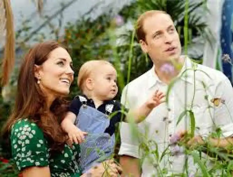 kate middleton, william e george