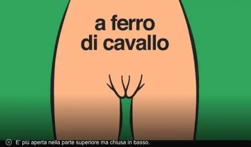 le forme della vagina  2