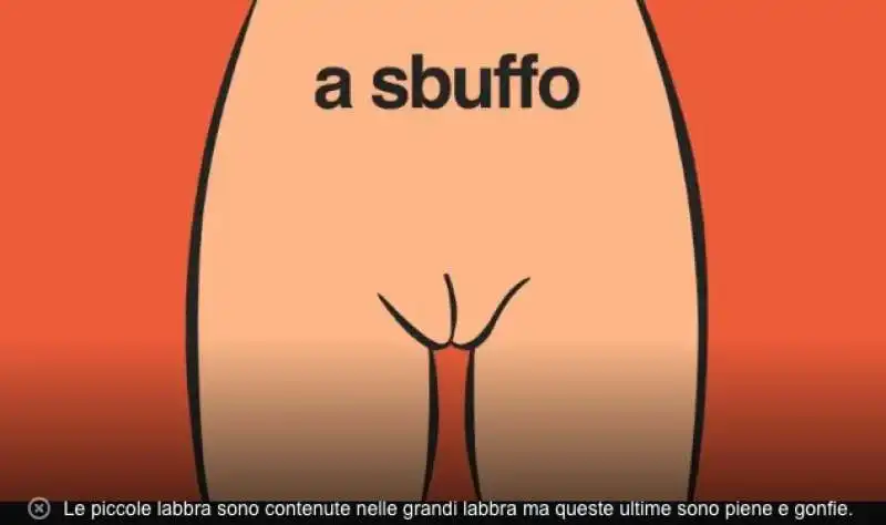 le forme della vagina  3