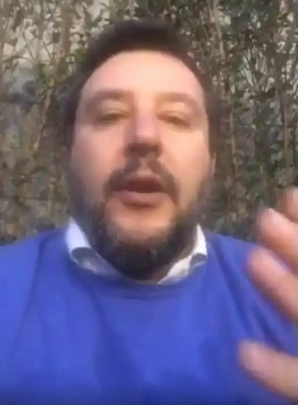 salvini