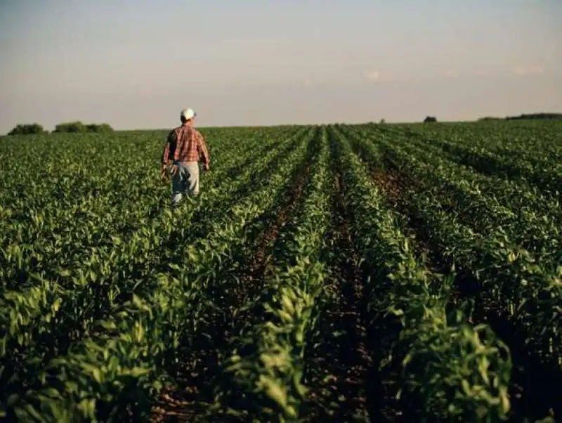 braccianti agricoli 